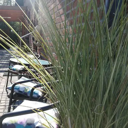 Apartament Haus Theobald Alpen Zewnętrze zdjęcie